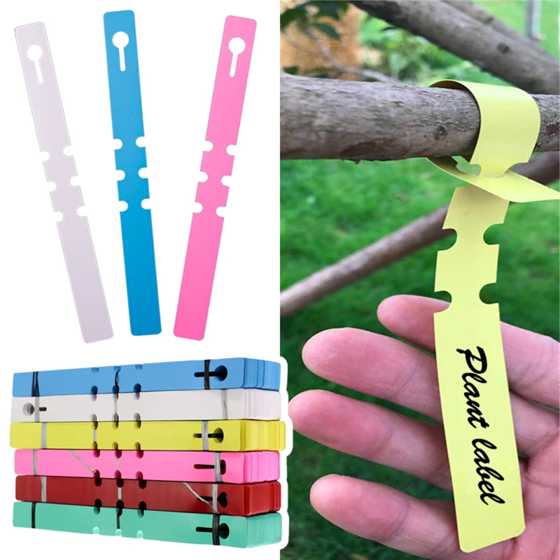 Gardening Tools Labeled - 100 قطعة من علامات النباتات البلاستيكية