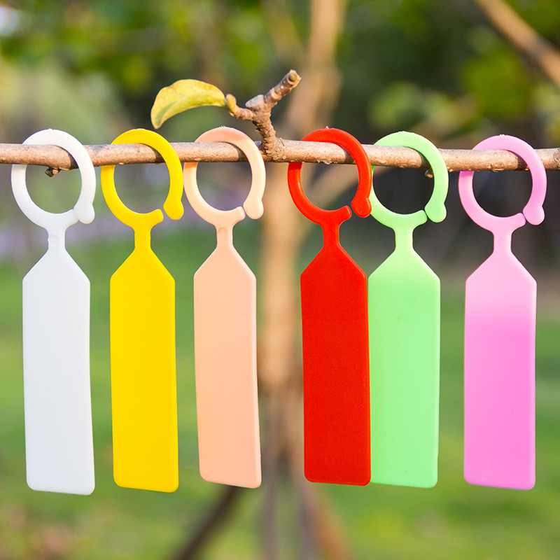 Gardening Tools Labeled - 50 قطعة تسميات النباتات مقاوم للماء