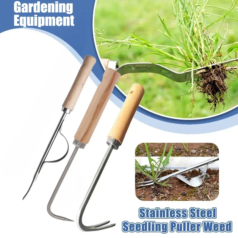 Gardening Tools To Remove Weeds - الفولاذ المقاوم للصدأ البستنة Weeder دليل