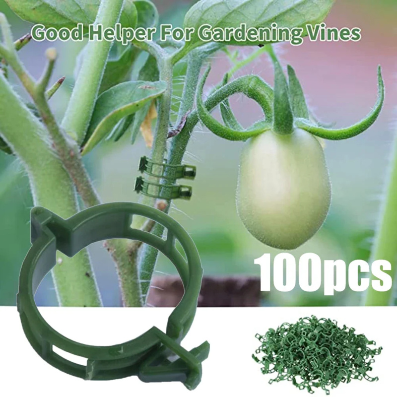 Gardening Tools Range - 100 قطعة/مشبك دعم النبات العلاقات البلاستيكية