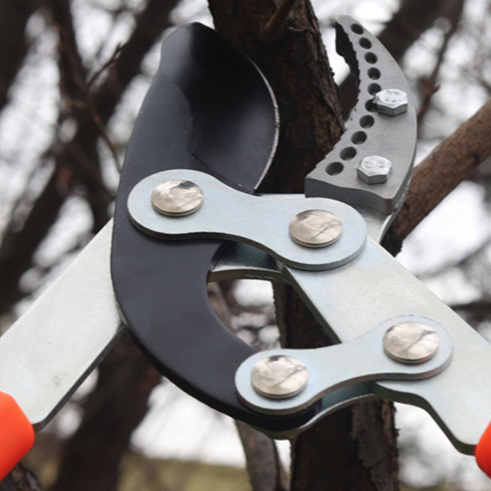 Gardening Tools In - مقصات تقليم الأغصان التلسكوبية ذات الشفرة