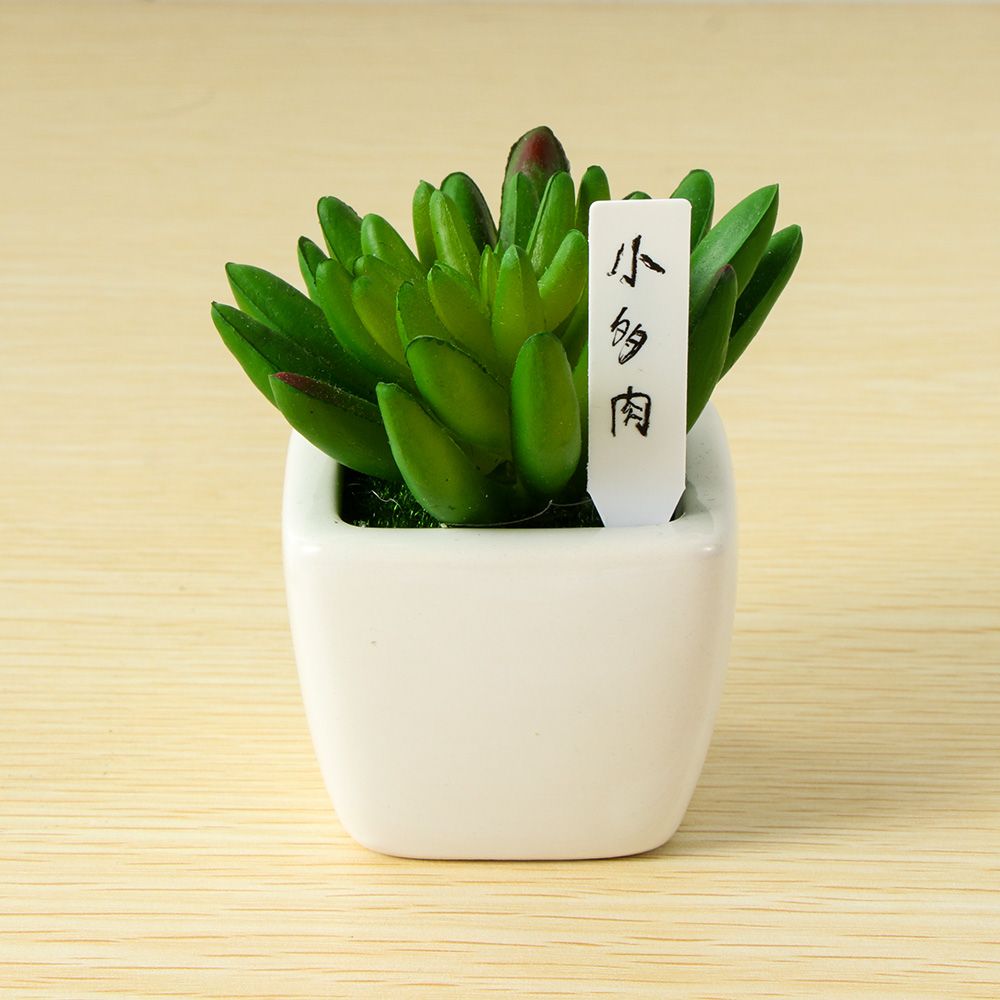100 قطعة من البلاستيك الصغير ل - مراجعة Gardening Tools Labeled وسعره