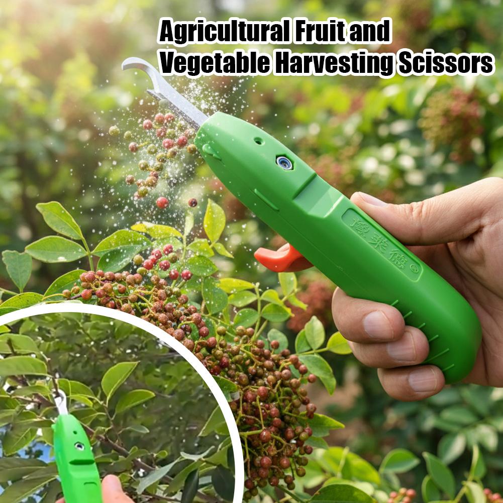 مقصات تقليم للحدائق، أدوات زرا - مراجعة Gardening Tools Scissors وسعره