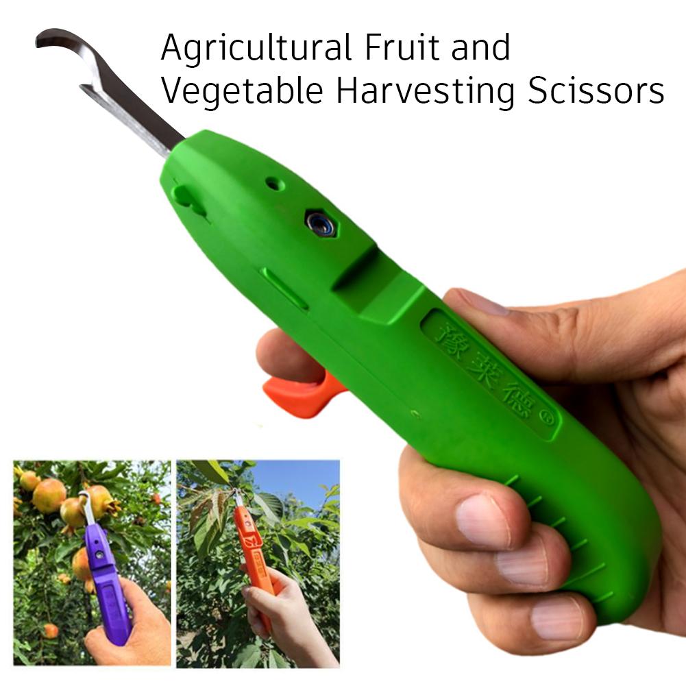 مقصات تقليم للحدائق، أدوات زرا - مراجعة Gardening Tools Scissors وسعره