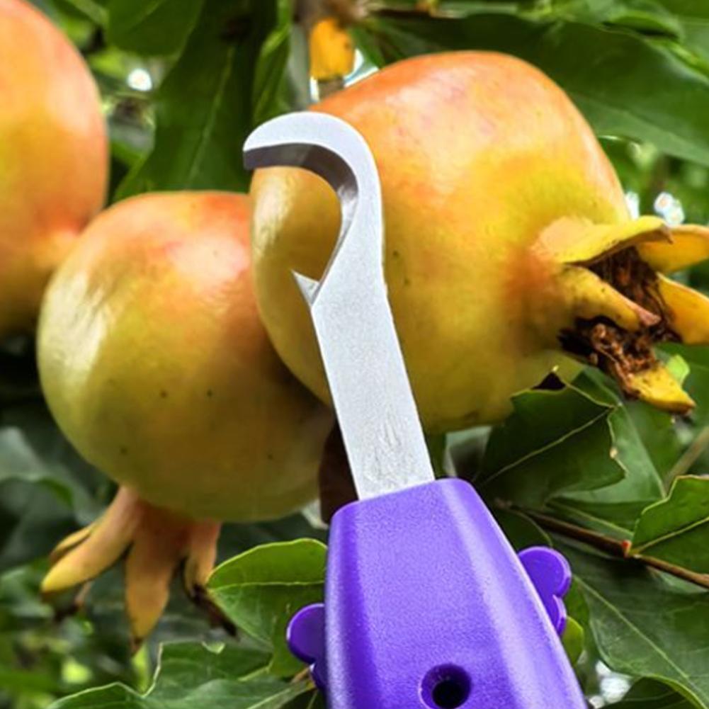 مقصات تقليم للحدائق، أدوات زرا - مراجعة Gardening Tools Scissors وسعره