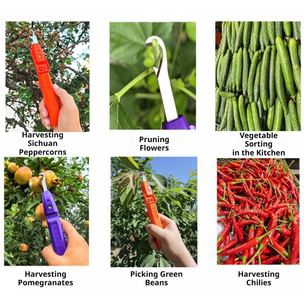 مقصات تقليم للحدائق، أدوات زرا - مراجعة Gardening Tools Scissors وسعره