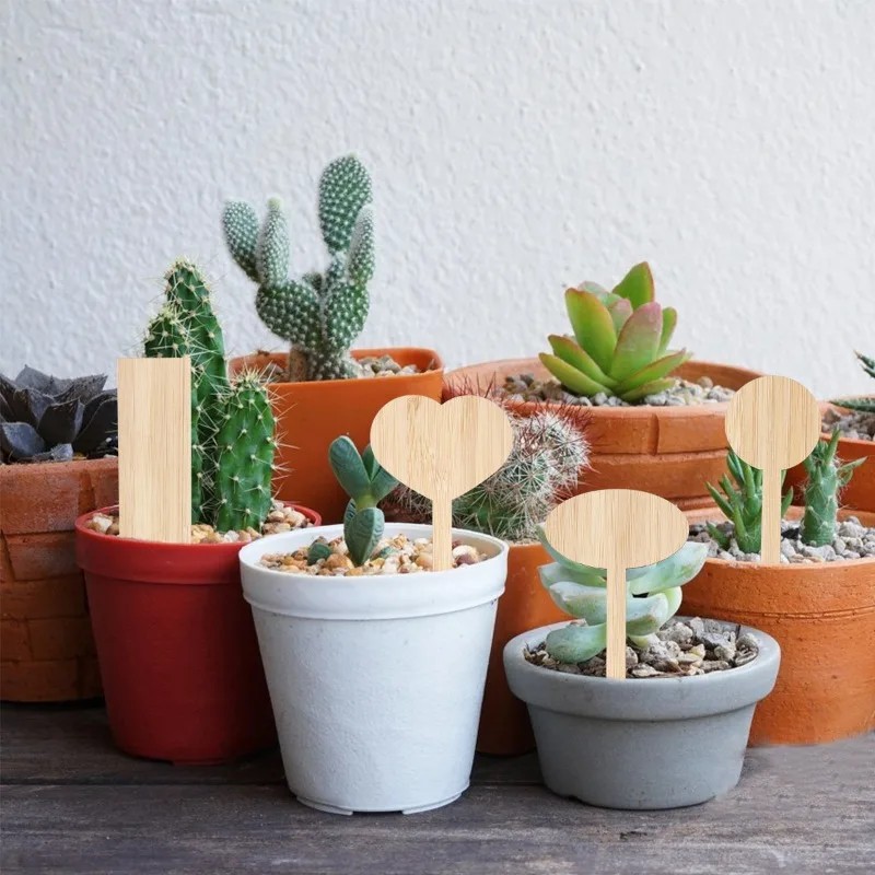 50 قطعة من ملصقات نباتات الخيز - مراجعة Gardening Tools Labeled وسعره