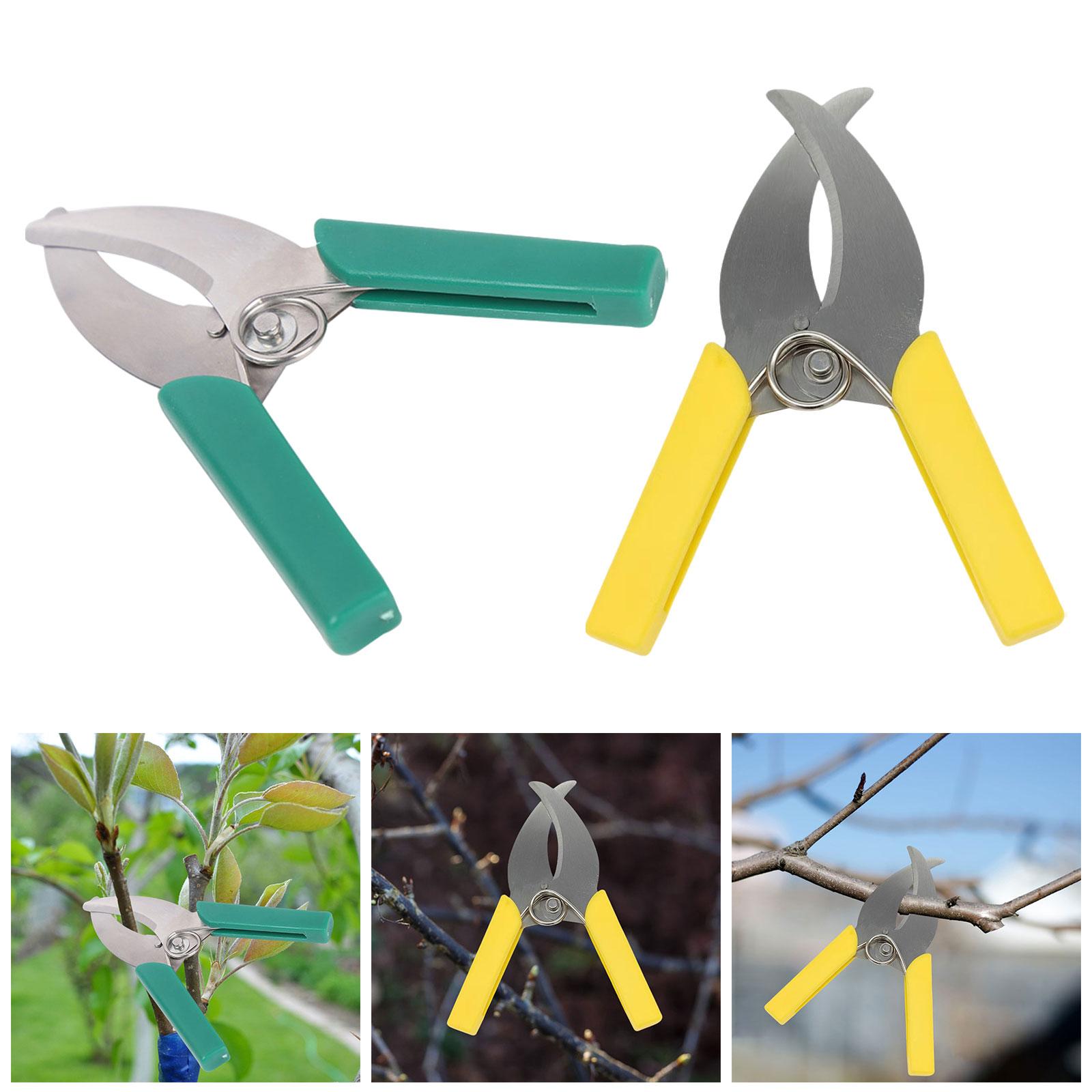حلقة نباح القاطع مقص حديقة شجر - مراجعة Gardening Tools Scissors وسعره