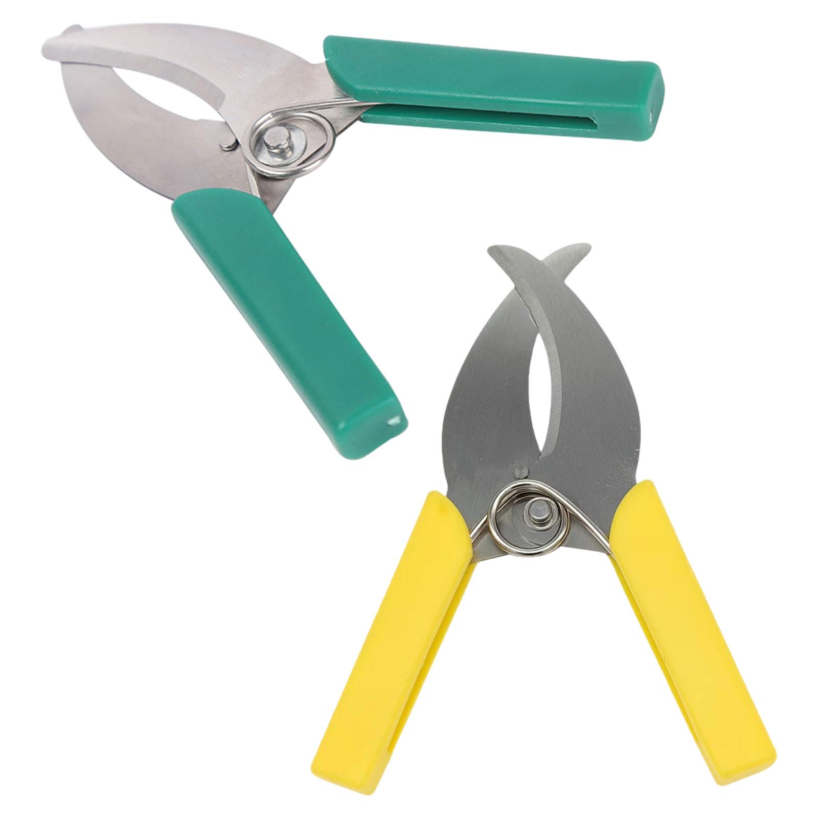 حلقة نباح القاطع مقص حديقة شجر - مراجعة Gardening Tools Scissors وسعره