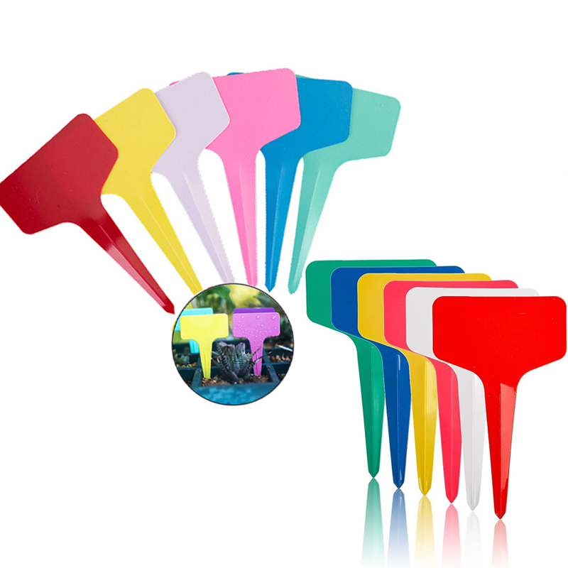 50/100 ملصق حرف T للنباتات، مل - مراجعة Gardening Tools Labeled وسعره