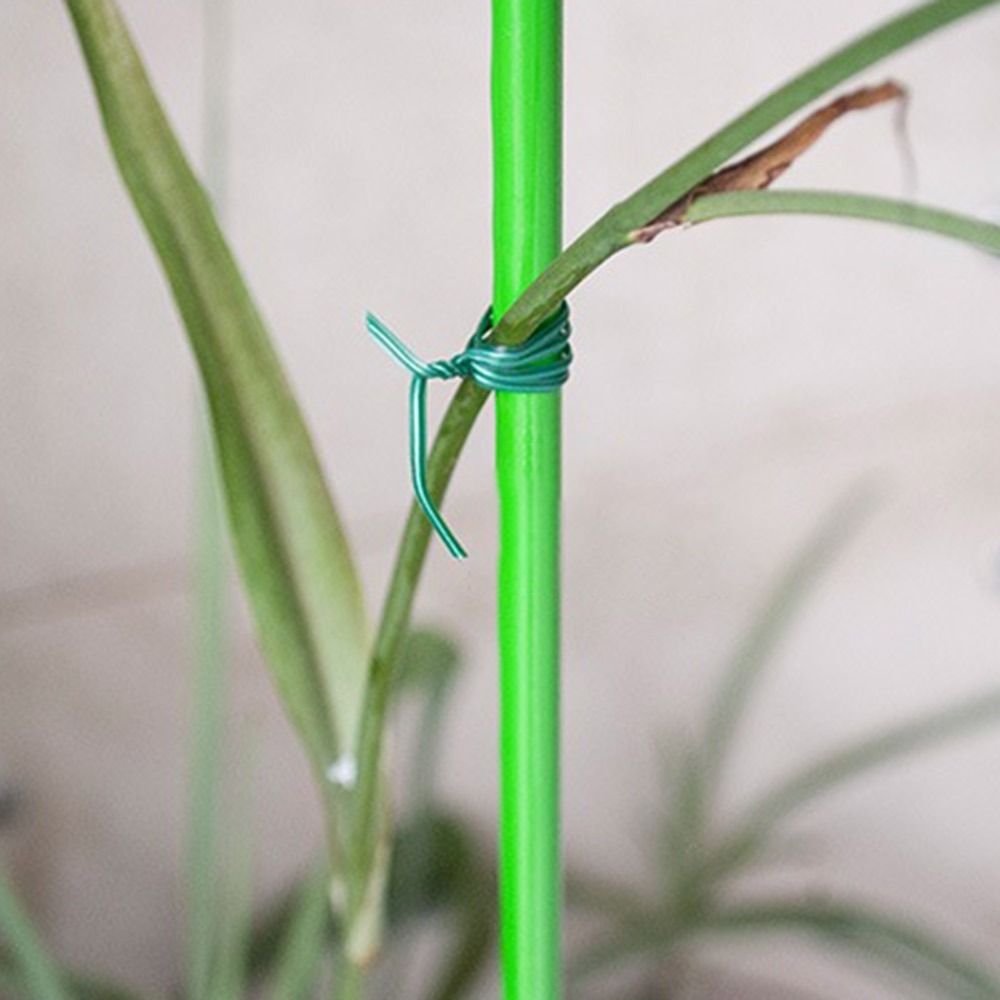 20/50/100 متر حديقة كابل العلا - مراجعة Garden Wire Twist Tie وسعره