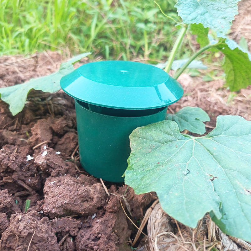 10/1 قطعة مصيدة حلزونية، محطة  - مراجعة Gardening Tools Toolstation وسعره
