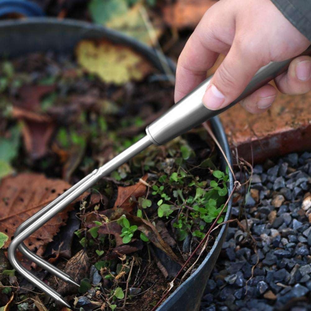 الفولاذ المقاوم للصدأ الاعشاب  - مراجعة Gardening Tools To Remove Weeds وسعره