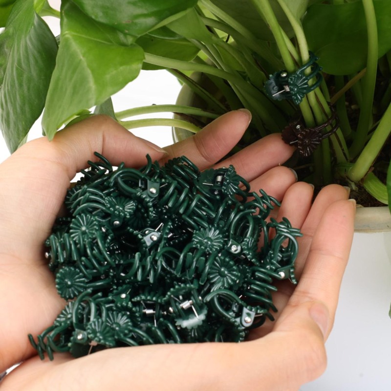 مشابك دعم النباتات الصغيرة بال - مراجعة Gardening Tools Wholesale وسعره