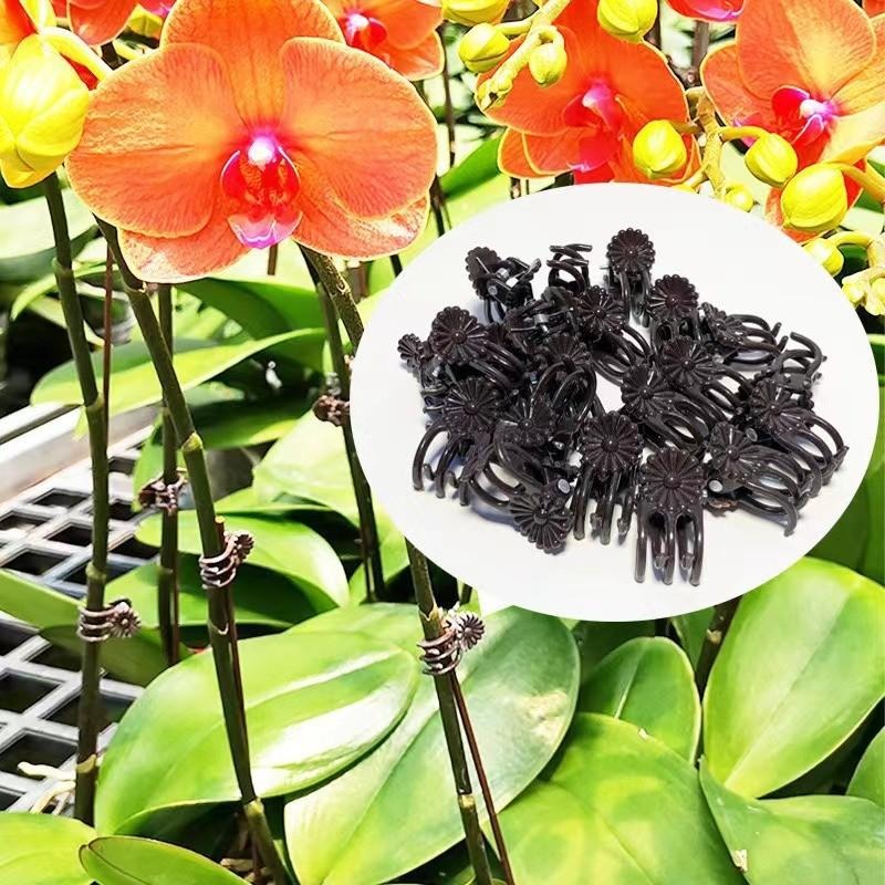 مشابك دعم النباتات الصغيرة بال - مراجعة Gardening Tools Wholesale وسعره