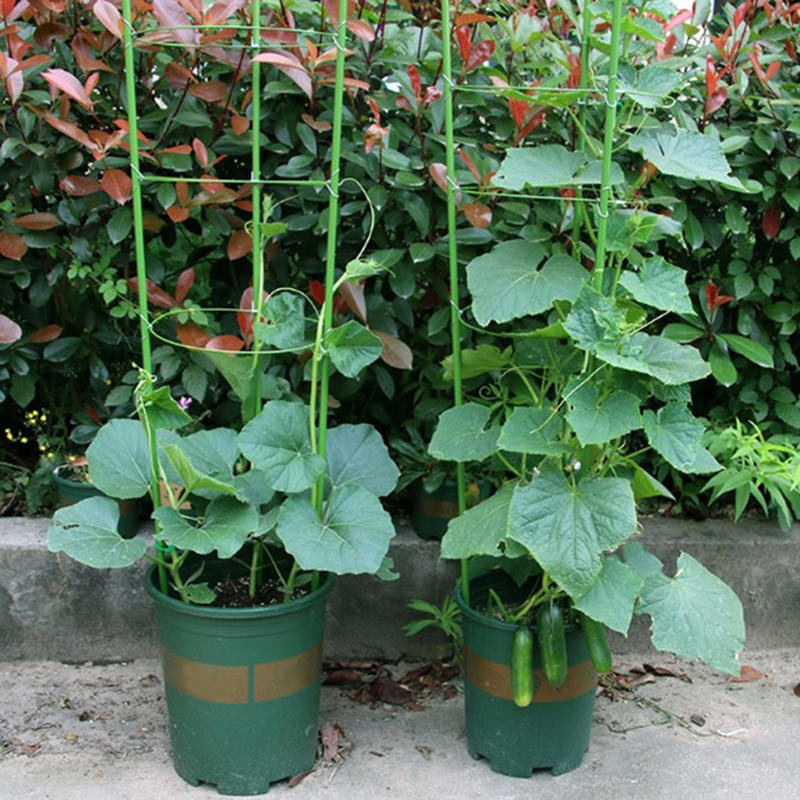 دعامة نباتات بطول 45 سم، حلقة  - مراجعة Gardening Tools Range وسعره