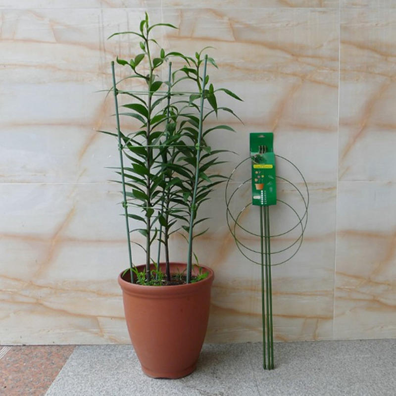 دعامة نباتات بطول 45 سم، حلقة  - مراجعة Gardening Tools Range وسعره