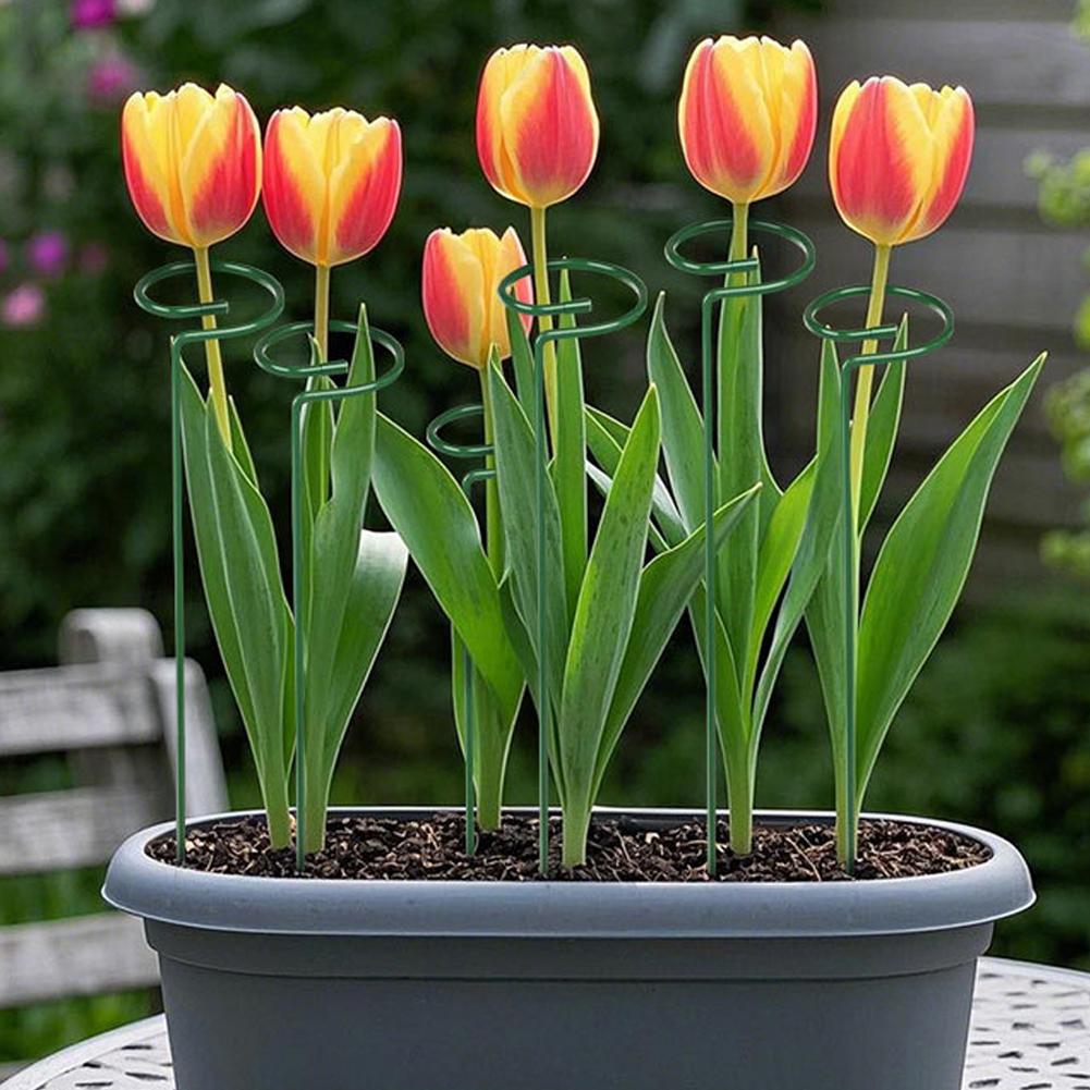 قضبان معدنية لدعم النباتات، دع - مراجعة Gardening Tools Range وسعره