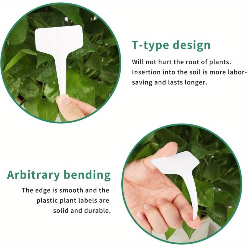 20/120 قطعة من ملصقات النباتات - مراجعة Gardening Tools Labeled وسعره
