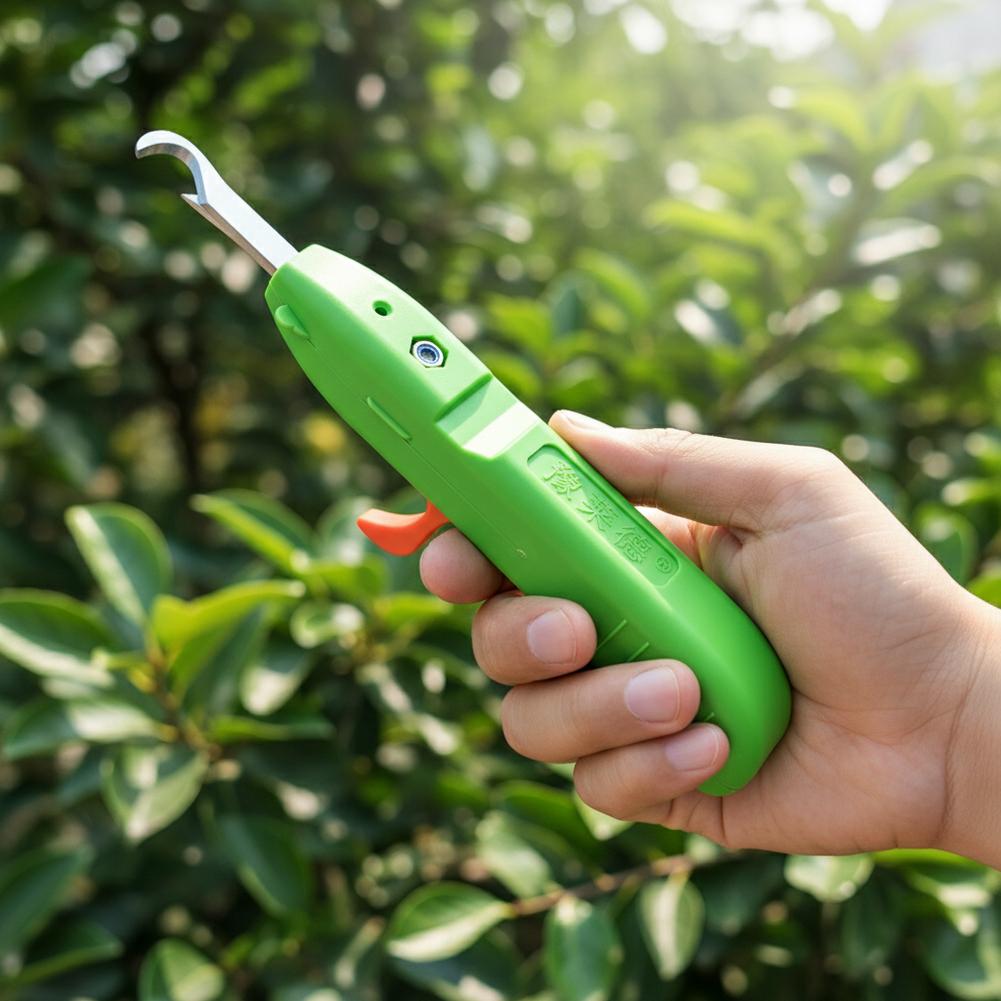 مقصات قطف الفاكهة والخضروات، م - مراجعة Gardening Tools Wholesale وسعره