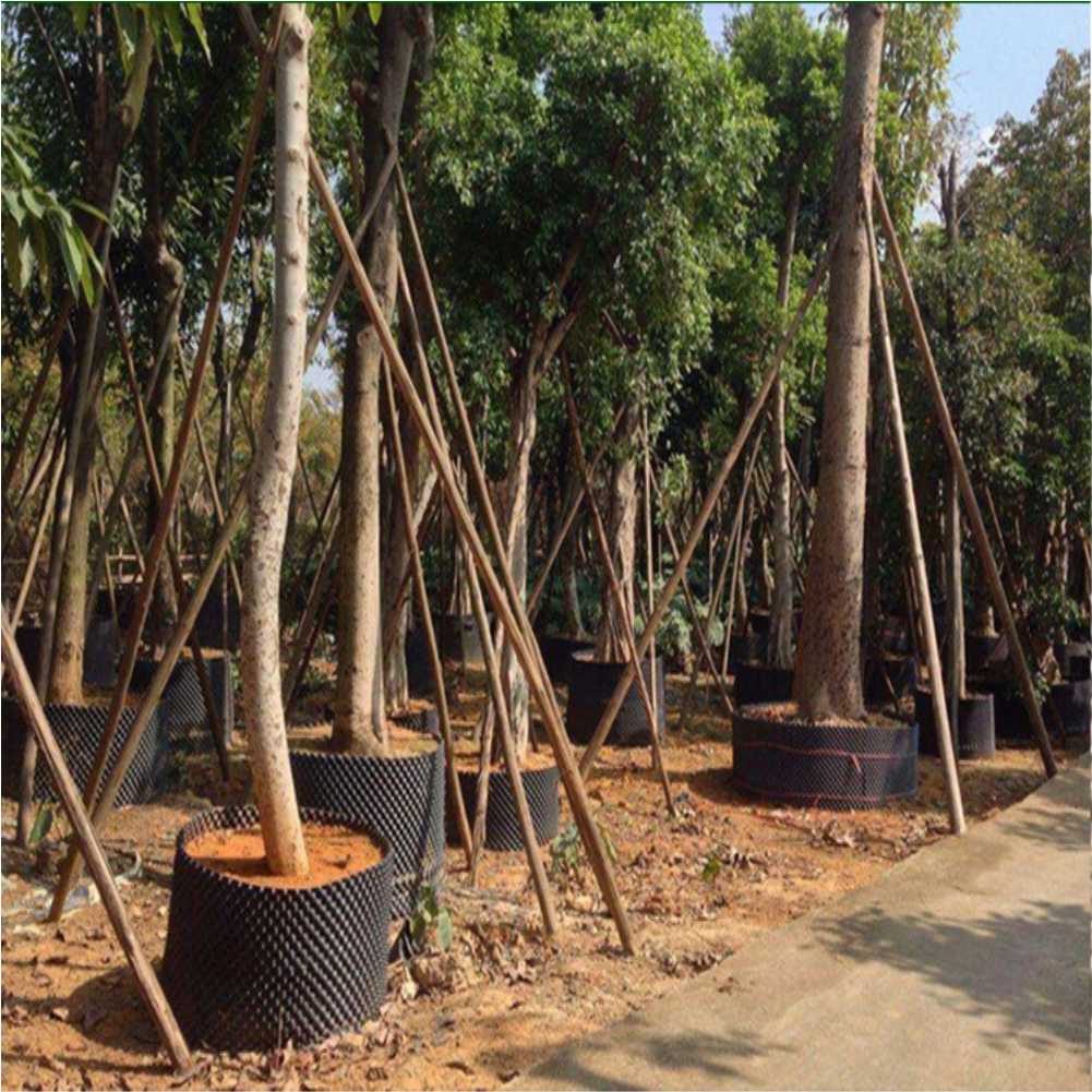 أداة زراعة وتحويل نباتات البون - مراجعة Gardening Tools In وسعره