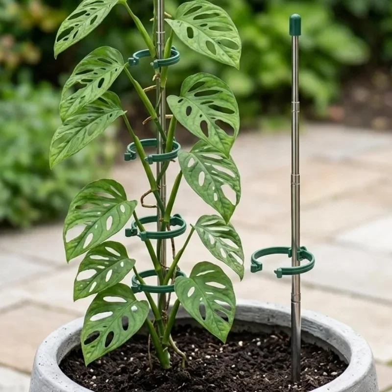 5/1 قطعة حلقة دعم نباتات قابلة - مراجعة Gardening Tools Range وسعره