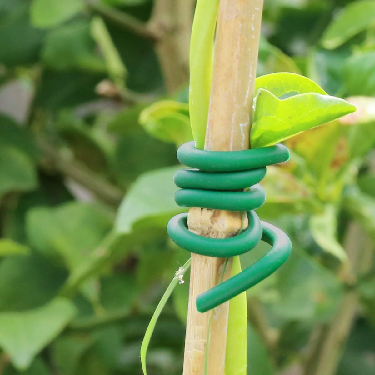 روابط مطاطية خضراء مرنة قابلة  - مراجعة Garden Wire Twist Tie وسعره