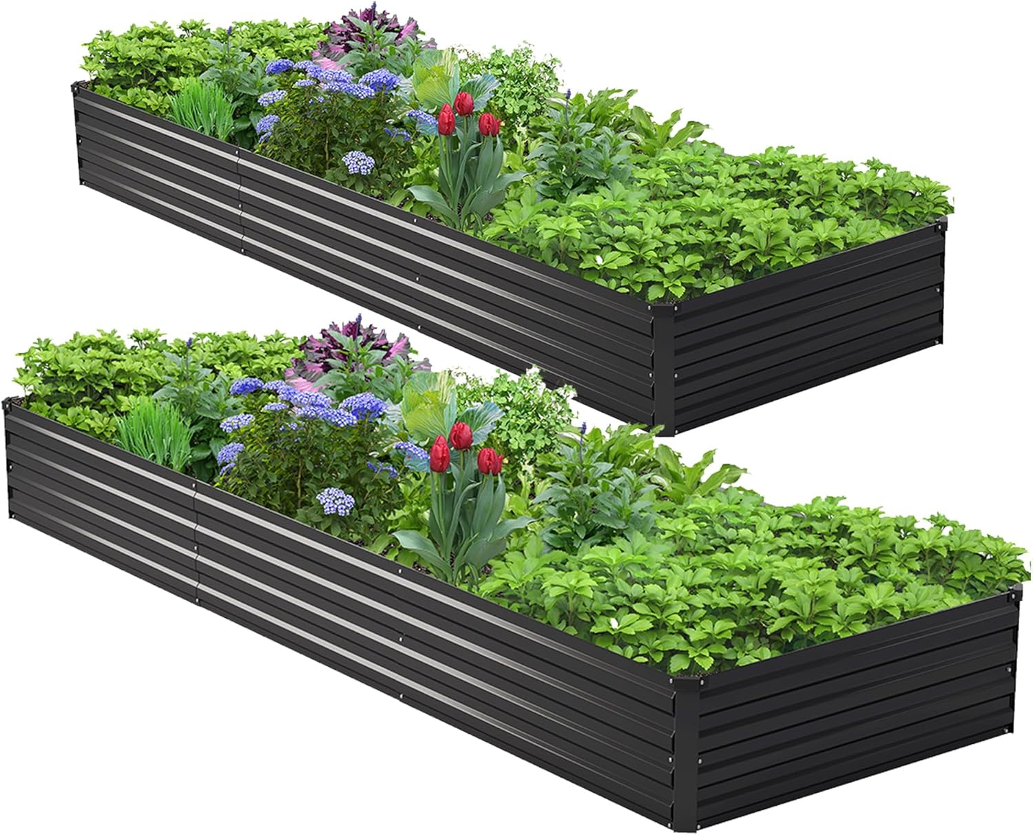 قطعتان من أحواض الزراعة المعدن - مراجعة Raised Bed Planter Box وسعره