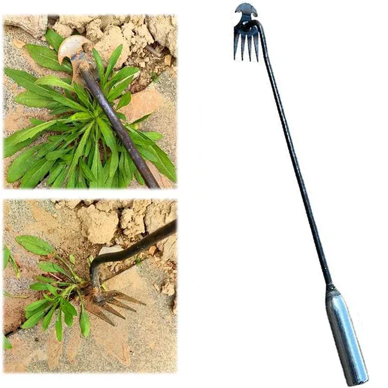 أداة إزالة الأعشاب الضارة اليد - مراجعة Gardening Tools To Remove Weeds وسعره