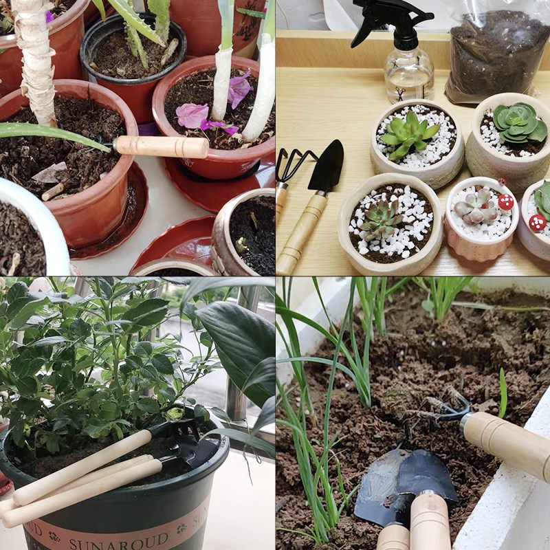 3 قطعة/1 مجموعة أدوات البستنة  - مراجعة Gardening Tools Wholesale وسعره
