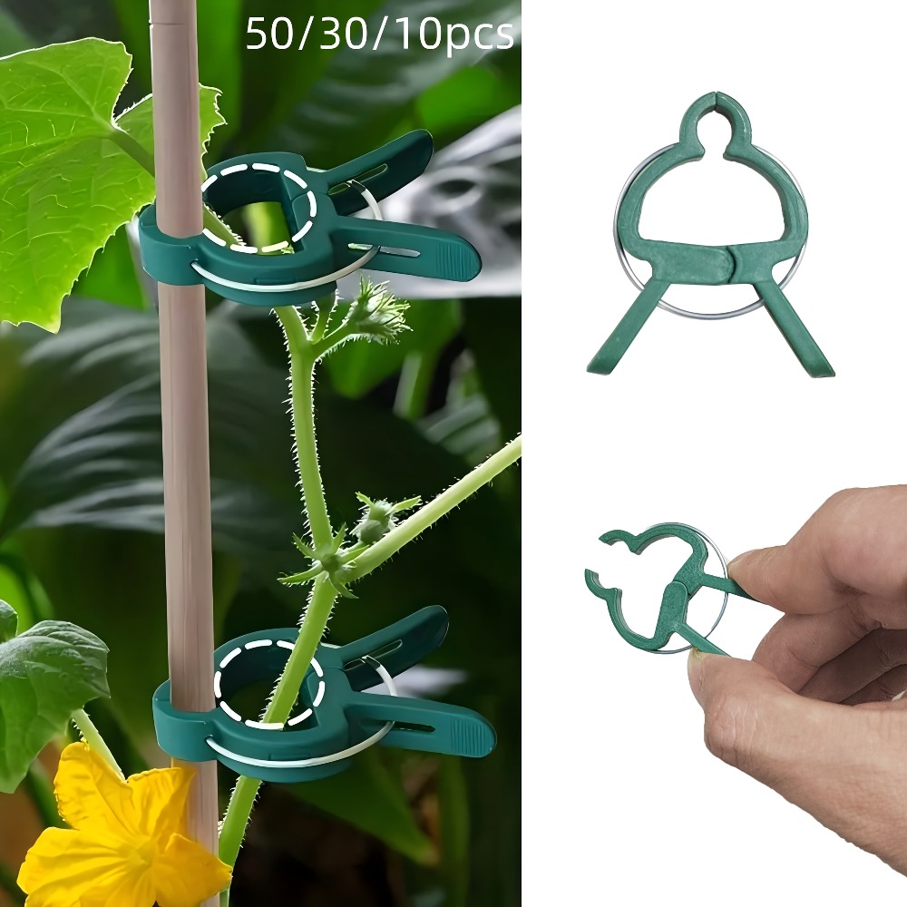 10/30/50 قطعة من مشابك النباتا - مراجعة Gardening Tools Essential وسعره