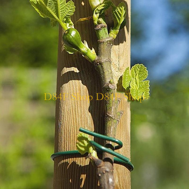 D84F 2.5mmx10m الأخضر لينة سلك - مراجعة Garden Wire Twist Tie وسعره