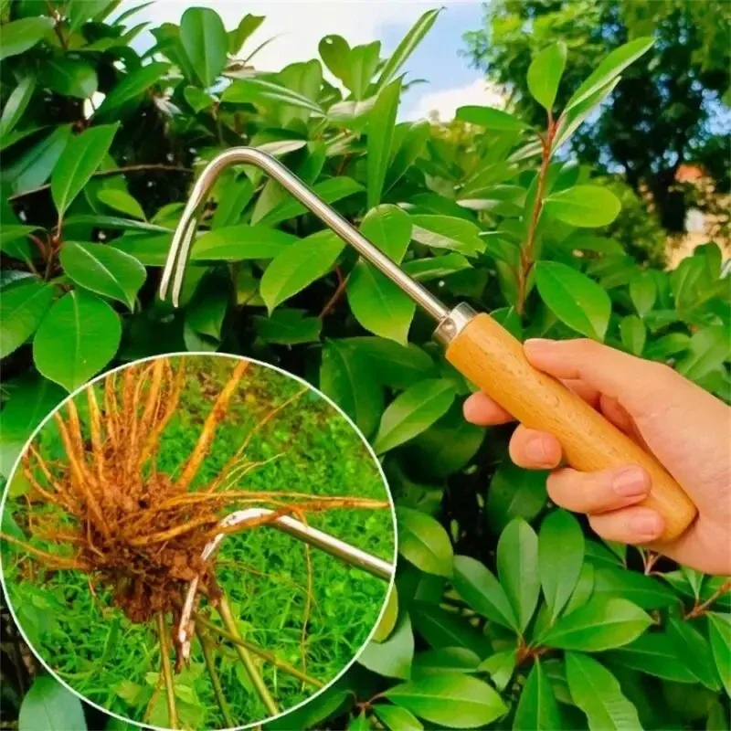 الفولاذ المقاوم للصدأ البستنة  - مراجعة Gardening Tools To Remove Weeds وسعره