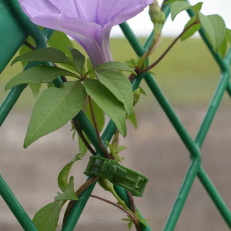100 قطعة/مشبك دعم النبات العلا - مراجعة Gardening Tools Range وسعره