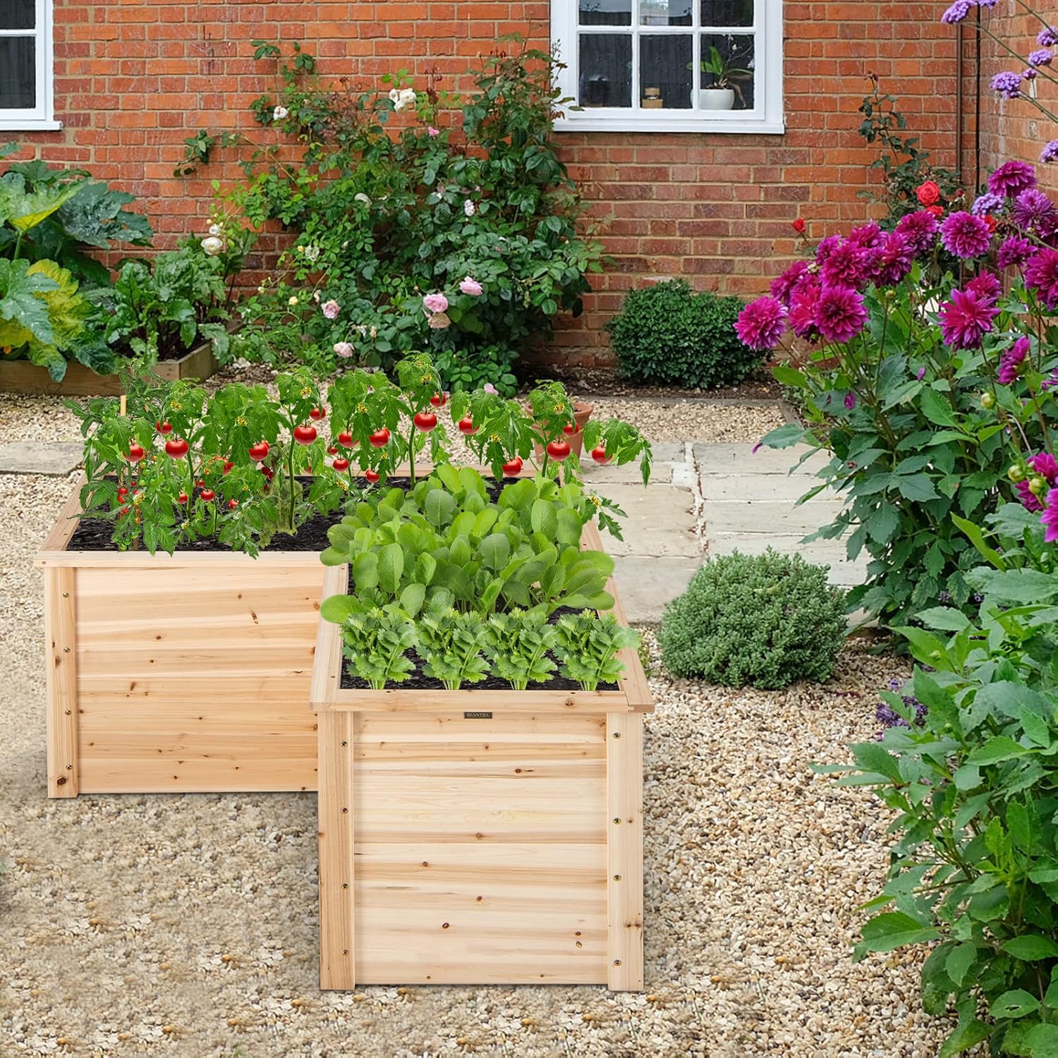 حوض زراعة خشبي مرتفع، 47.5 × 4 - مراجعة Raised Bed Planter Box وسعره
