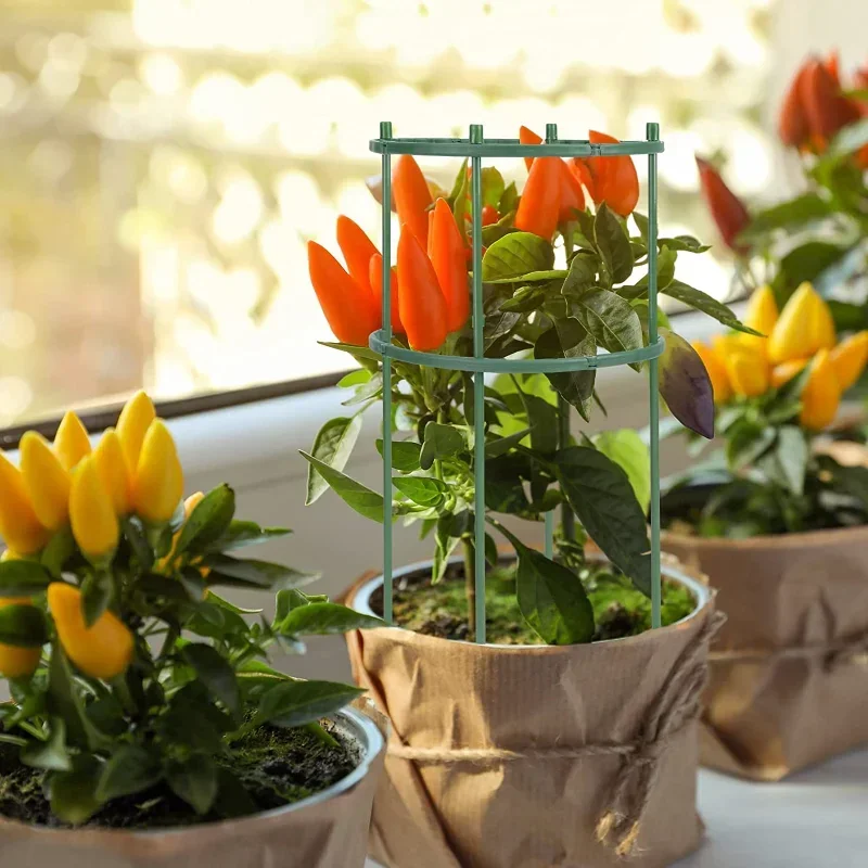 البلاستيك دعم النبات كومة حامل - مراجعة Gardening Tools Range وسعره