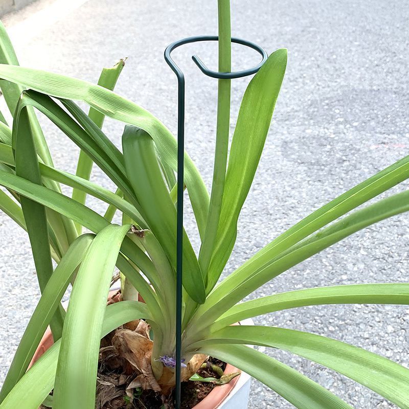 1-10 قطعة معدنية واحدة الجذعية - مراجعة Gardening Tools Range وسعره
