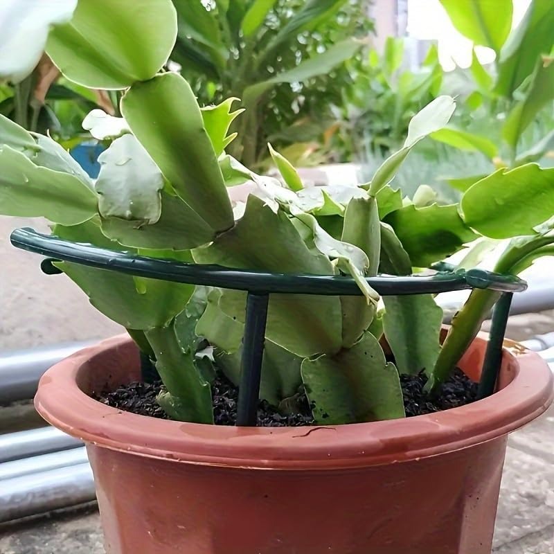 30-1 قطعة دعامة نباتات بلاستيك - مراجعة Gardening Tools Range وسعره