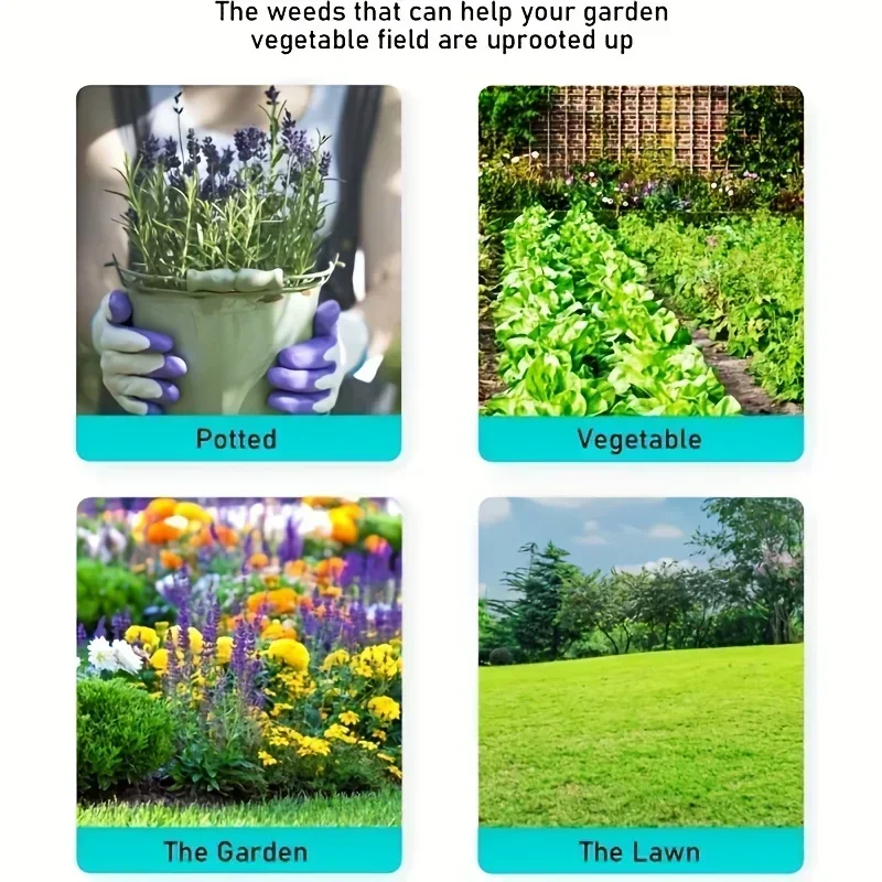 أسود إزالة الأعشاب الضارة رئيس - مراجعة Gardening Tools To Remove Weeds وسعره