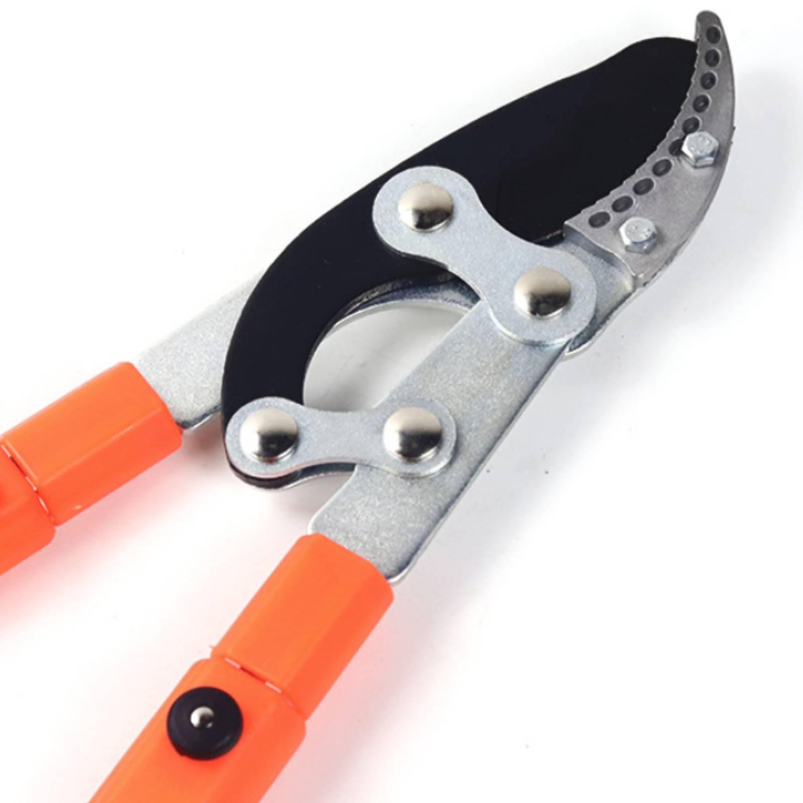 مقصات تقليم الأغصان التلسكوبية - مراجعة Gardening Tools In وسعره