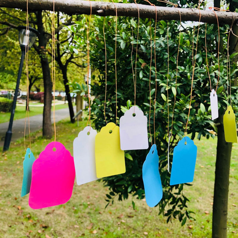 تسميات النبات مع حبل ، علامة م - مراجعة Gardening Tools Labeled وسعره