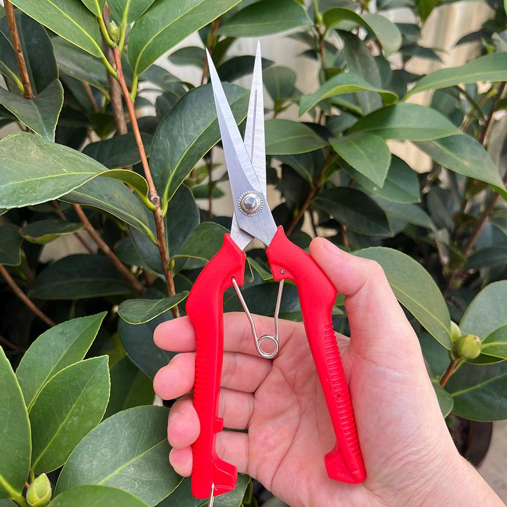 مقص تقليم احترافي للحدائق، مقص - مراجعة Gardening Tools Wholesale وسعره