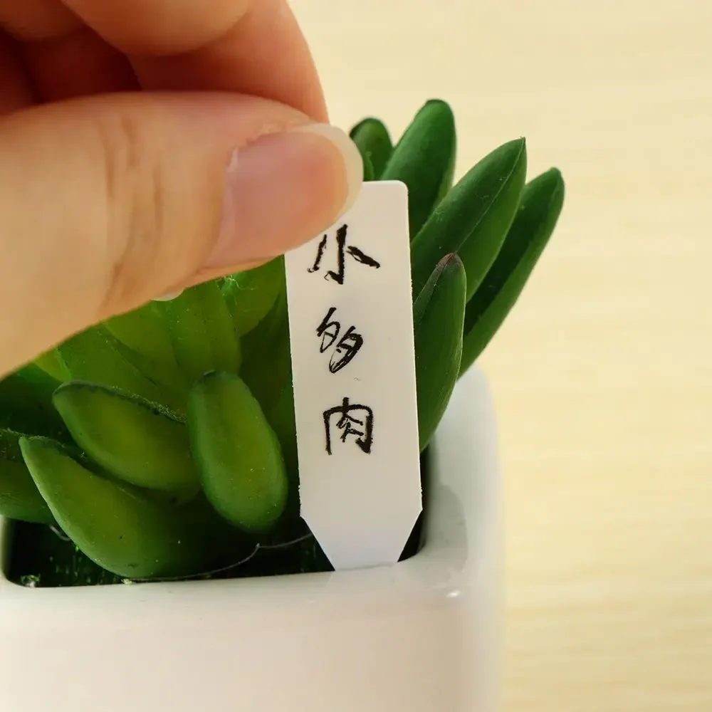 100 قطعة علامة تصنيف قابلة لإع - مراجعة Gardening Tools Labeled وسعره