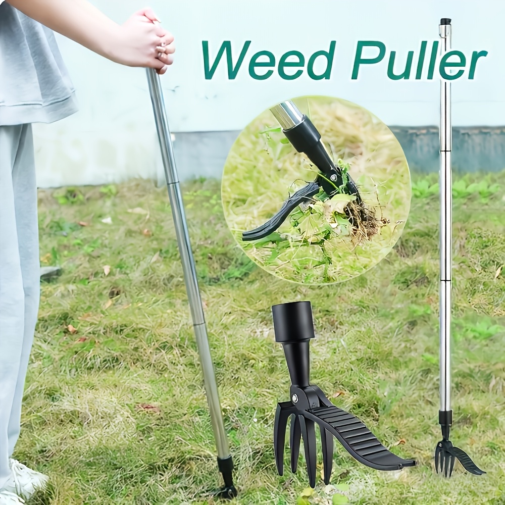 أداة إزالة الأعشاب الضارة العم - مراجعة Gardening Tools To Remove Weeds وسعره
