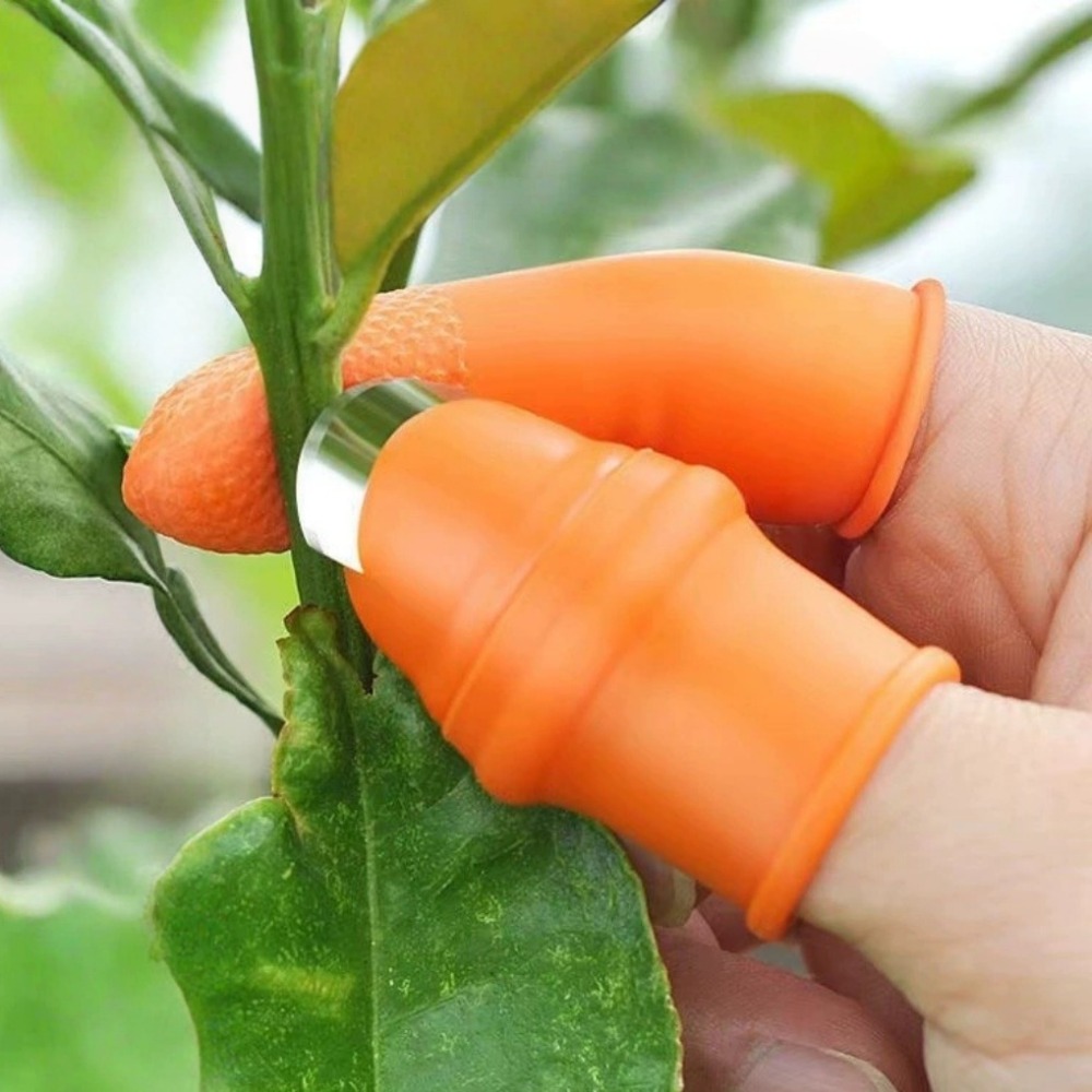 سكين إبهام من الفولاذ المقاوم  - مراجعة Gardening Tools Knife وسعره